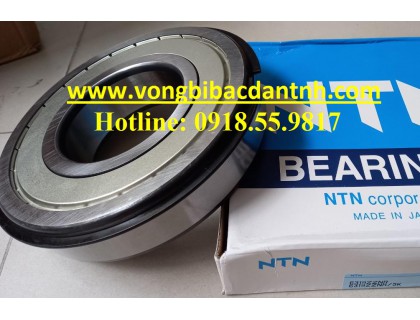 BẠC ĐẠN 6319 ZN